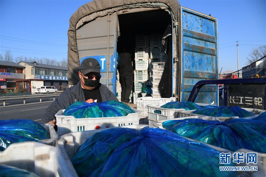 （在習(xí)近平新時代中國特色社會主義思想指引下&mdash;&mdash;新時代新作為新篇章&middot;習(xí)近平總書記關(guān)切事&middot;圖文互動）（3）抗疫之下 保供無憂