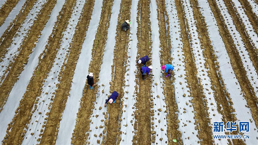(在習(xí)近平新時(shí)代中國特色社會(huì)主義思想指引下——新時(shí)代新作為新篇章·習(xí)近平總書記關(guān)切事·圖文互動(dòng))(8)啃下最后的硬骨頭——脫貧攻堅(jiān)掛牌督戰(zhàn)進(jìn)行時(shí)