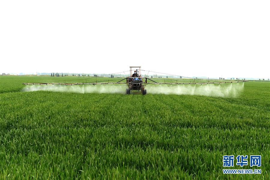 （在習近平新時代中國特色社會主義思想指引下&mdash;&mdash;新時代新作為新篇章&middot;習近平總書記關切事&middot;圖文互動）（10）新農事、新希望&mdash;&mdash;夏收前田間新動態(tài)掃描