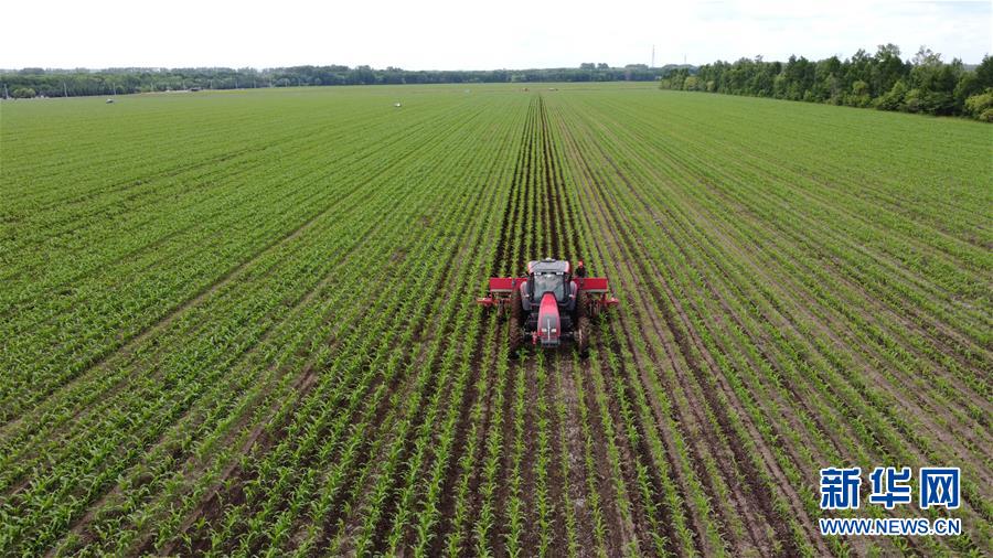 （在習(xí)近平新時(shí)代中國(guó)特色社會(huì)主義思想指引下&mdash;&mdash;新時(shí)代新作為新篇章&middot;習(xí)近平總書(shū)記關(guān)切事&middot;圖文互動(dòng)）（5）讓每一寸耕地都成為豐收的沃土&mdash;&mdash;我國(guó)加強(qiáng)耕地保護(hù)推進(jìn)&ldquo;藏糧于地&rdquo;