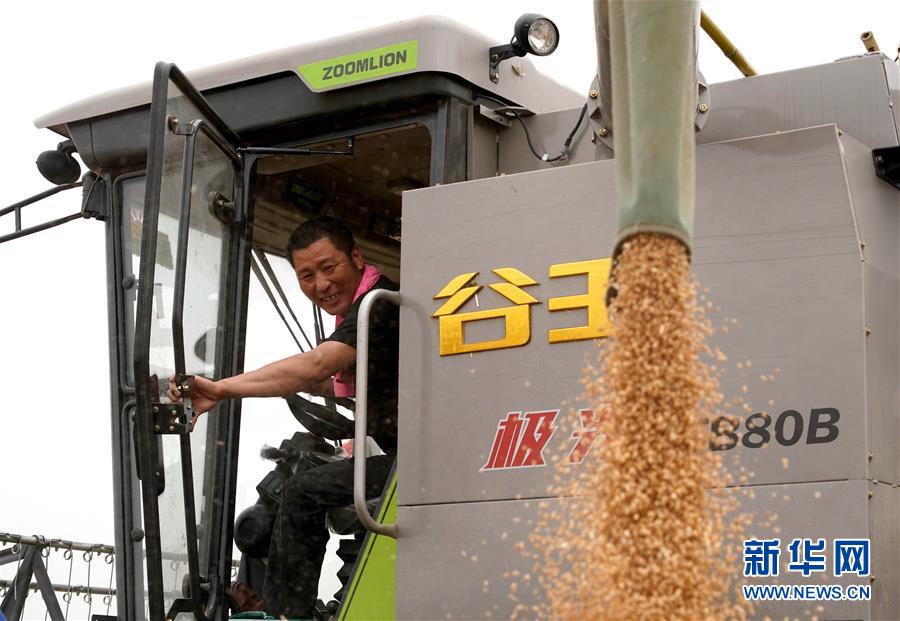 (在習(xí)近平新時(shí)代中國(guó)特色社會(huì)主義思想指引下——新時(shí)代新作為新篇章·習(xí)近平總書(shū)記關(guān)切事·圖文互動(dòng))(3)食為政首——穩(wěn)住農(nóng)業(yè)基本盤(pán)增添發(fā)展底氣