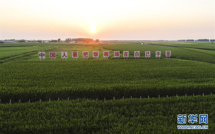 (在習(xí)近平新時代中國特色社會主義思想指引下——新時代新作為新篇章·習(xí)近平總書記關(guān)切事·圖文互動)(1)讓百姓吃得飽還要吃得好——夯實糧食安全基礎(chǔ)端牢中國飯碗