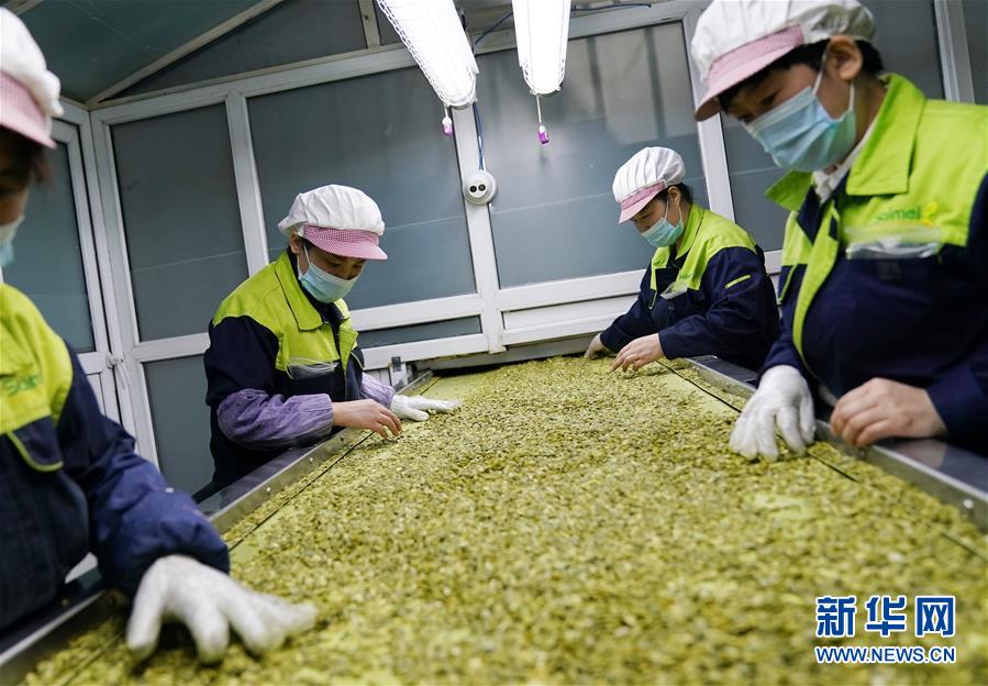 （在習近平新時代中國特色社會主義思想指引下&mdash;&mdash;新時代新作為新篇章&middot;習近平總書記關切事&middot;圖文互動）（5）激發(fā)每個經濟&ldquo;細胞&rdquo;的活力&mdash;&mdash;千方百計把市場主體保護好