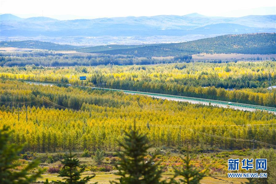 （在習(xí)近平新時代中國特色社會主義思想指引下&mdash;&mdash;新時代新作為新篇章&middot;習(xí)近平總書記關(guān)切事&middot;圖文互動）（7）綠意，在黃沙中鋪展&mdash;&mdash;我國防沙治沙紀(jì)實