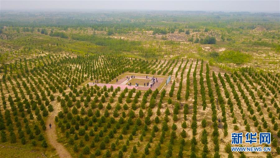 （在習(xí)近平新時代中國特色社會主義思想指引下&mdash;&mdash;新時代新作為新篇章&middot;習(xí)近平總書記關(guān)切事&middot;圖文互動）（2）綠意，在黃沙中鋪展&mdash;&mdash;我國防沙治沙紀(jì)實