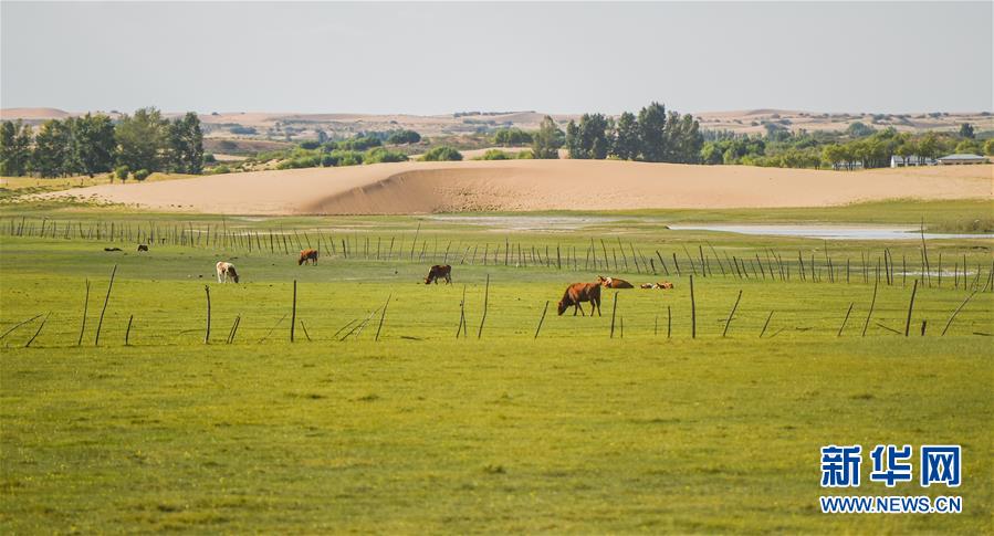 （在習(xí)近平新時代中國特色社會主義思想指引下&mdash;&mdash;新時代新作為新篇章&middot;習(xí)近平總書記關(guān)切事&middot;圖文互動）（9）綠意，在黃沙中鋪展&mdash;&mdash;我國防沙治沙紀(jì)實