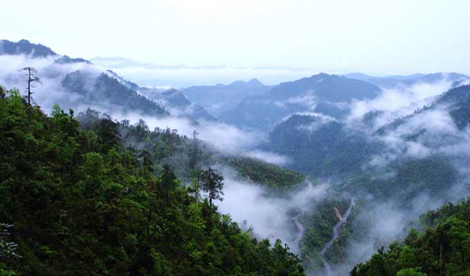 廣東乳源、廣東乳陽林場、云南華寧葫蘆口電站