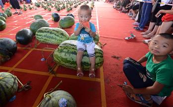 河南開封：&ldquo;斗瓜&rdquo;大賽精彩紛呈