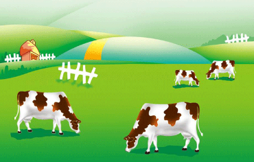 醬紫的內(nèi)蒙古，約嗎