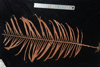 海山來&ldquo;客&rdquo;