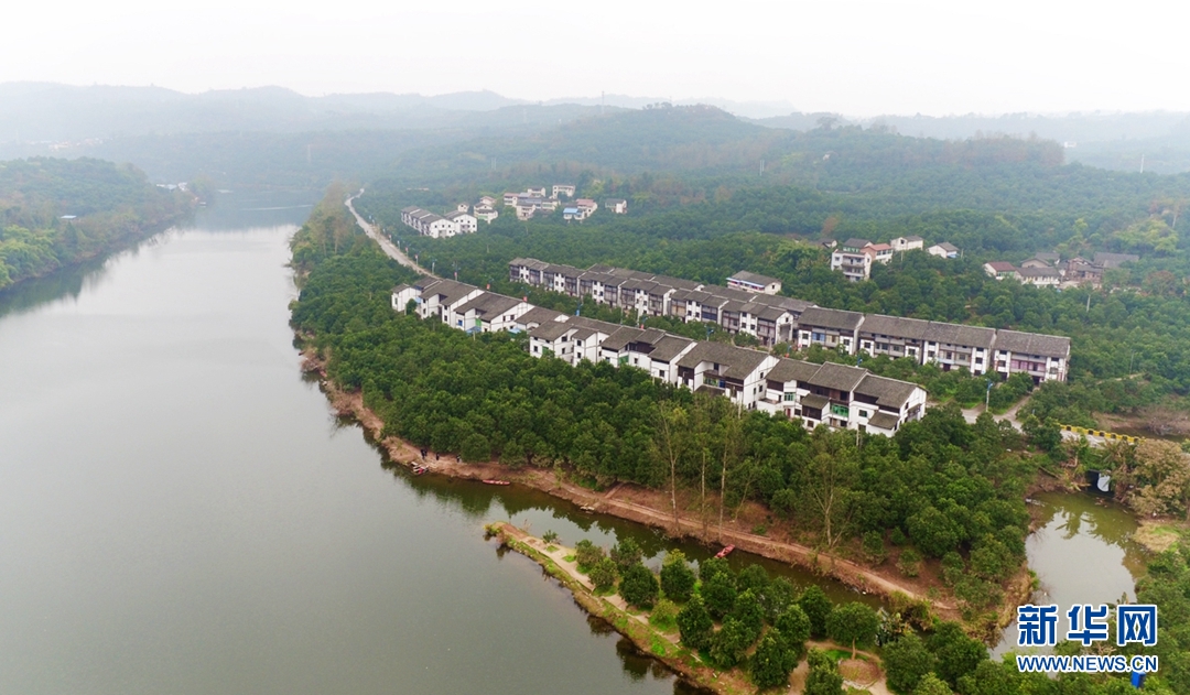 航拍重慶鄰封鎮(zhèn) 百年柚鄉(xiāng)換&ldquo;新顏&rdquo;