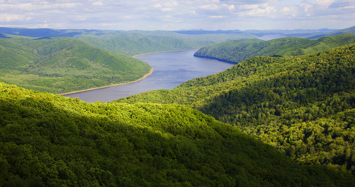張建龍：&ldquo;三北工程&rdquo;實現(xiàn)生態(tài)、經(jīng)濟、社會效益&ldquo;多贏&rdquo;