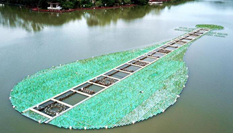 鳥(niǎo)瞰福州西湖 萬(wàn)株鳶尾宛如一把&ldquo;翡翠琵琶&rdquo;