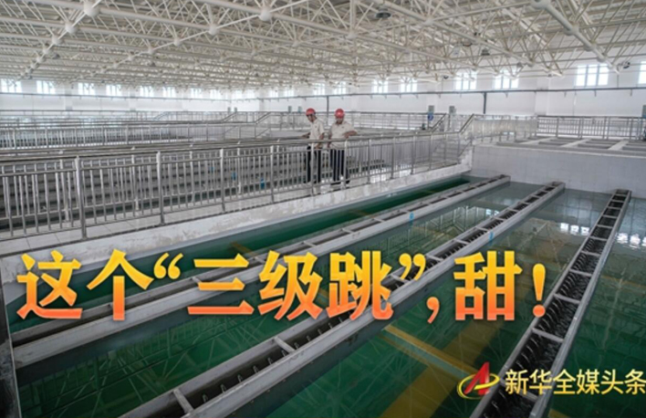 這個&ldquo;三級跳&rdquo;，甜！