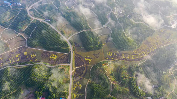 百城千縣萬(wàn)村調(diào)研行｜在三峽橘鄉(xiāng)，遇見(jiàn)最美的田園時(shí)光！