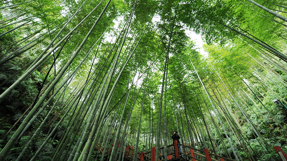 合作共治、責(zé)任共擔(dān)、效益共享&mdash;&mdash;赤水河流域跨省生態(tài)補(bǔ)償取得積極成效