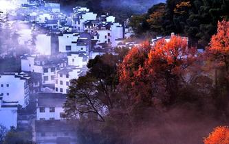 婺源古村 冬日山居&ldquo;楓&rdquo;景如畫(huà)