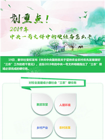 劃重點(diǎn)！2019年中央一號(hào)文件中的硬任務(wù)怎么干