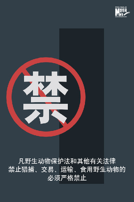 向非法野生動(dòng)物交易、濫食野生動(dòng)物陋習(xí)亮劍