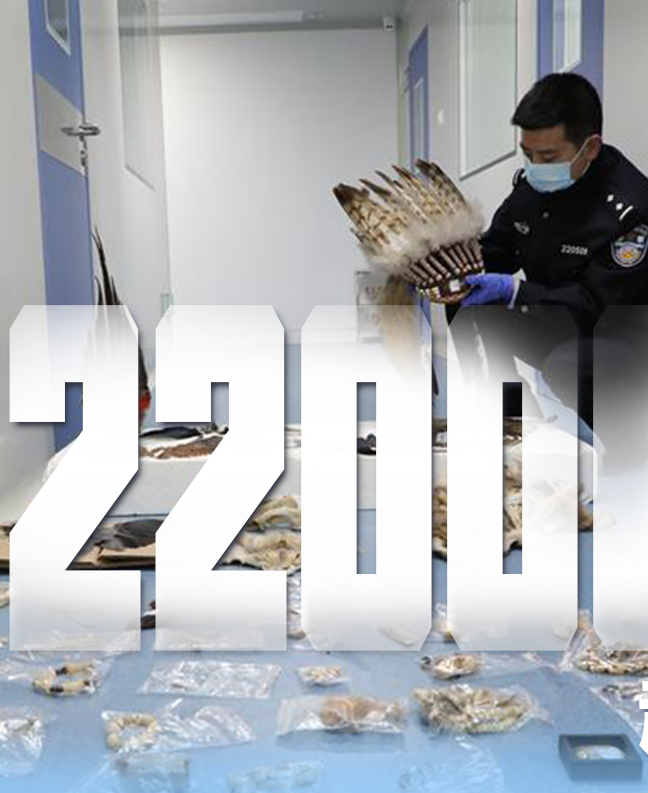 抗疫有&ldquo;法&rdquo;，就是這么給力！