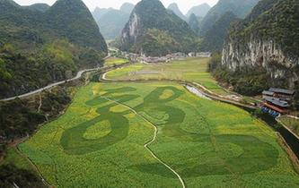 春天里的&ldquo;文化符號(hào)&rdquo;