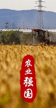 農業(yè)強國是社會主義現代化強國的根基。