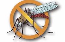 夏季，常見蚊蟲如何應對