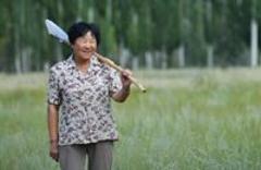 與沙漠的&ldquo;三十年戰(zhàn)爭&rdquo;