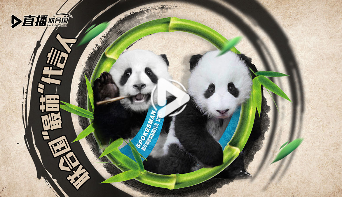 《直播聯(lián)合國》第三十五集：聯(lián)合國&ldquo;最萌&rdquo;代言人