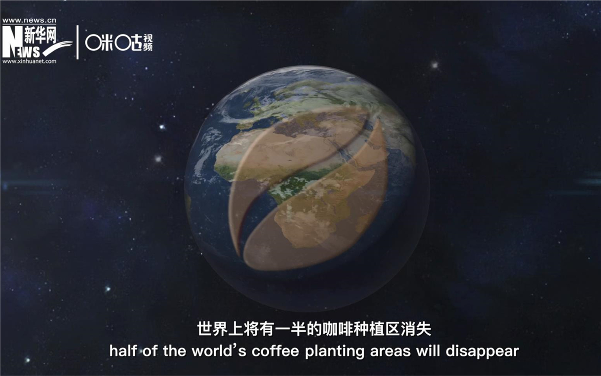 科學(xué)家預(yù)測(cè)到三十年后，世界上將有一半的咖啡種植區(qū)消失