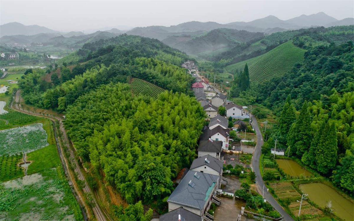 從2003年起，浙江省開展了&ldquo;千村示范、萬村整治&rdquo;工程