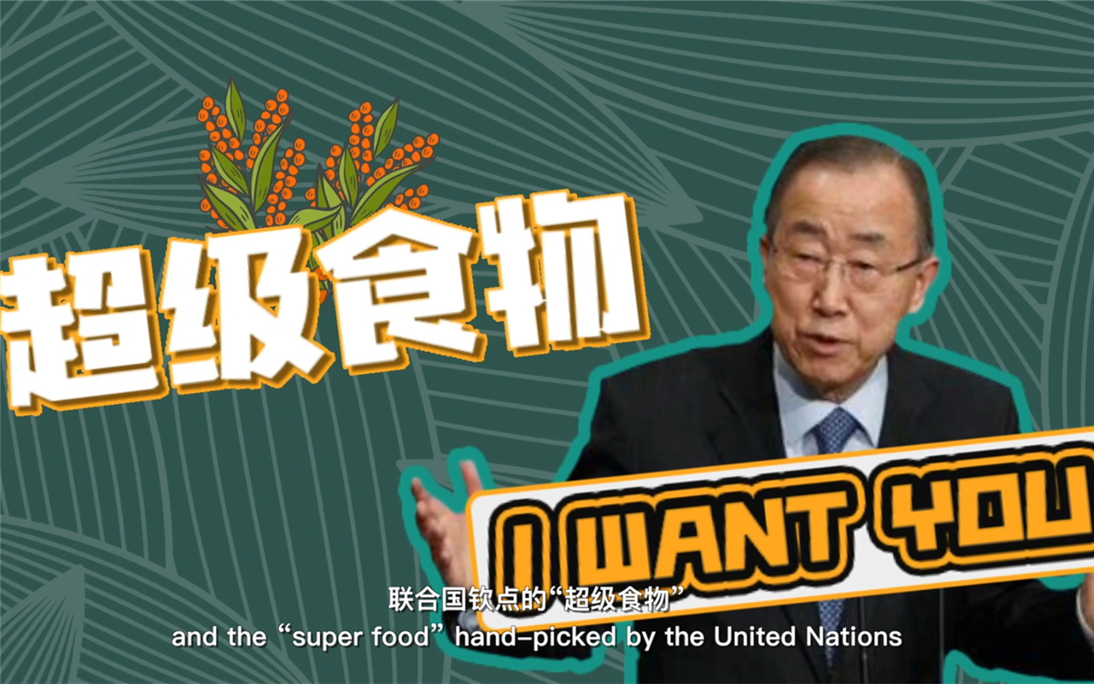 聯(lián)合國將藜麥視為抗擊饑餓的&ldquo;超級食物&rdquo;，大力推廣