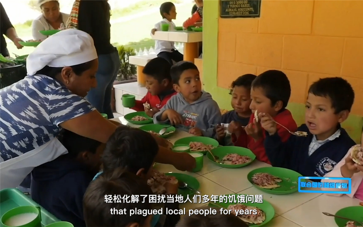藜麥的蹤跡遍布北美、歐洲、亞洲和非洲多地