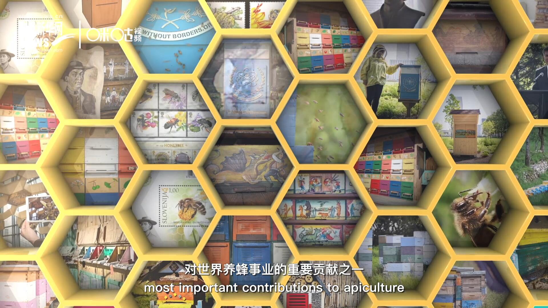 他開(kāi)始用色彩豐富的畫(huà)作來(lái)裝飾蜂巢的前板，幫助不同蜂群按照習(xí)性和顏色順利找到自己的蜂巢