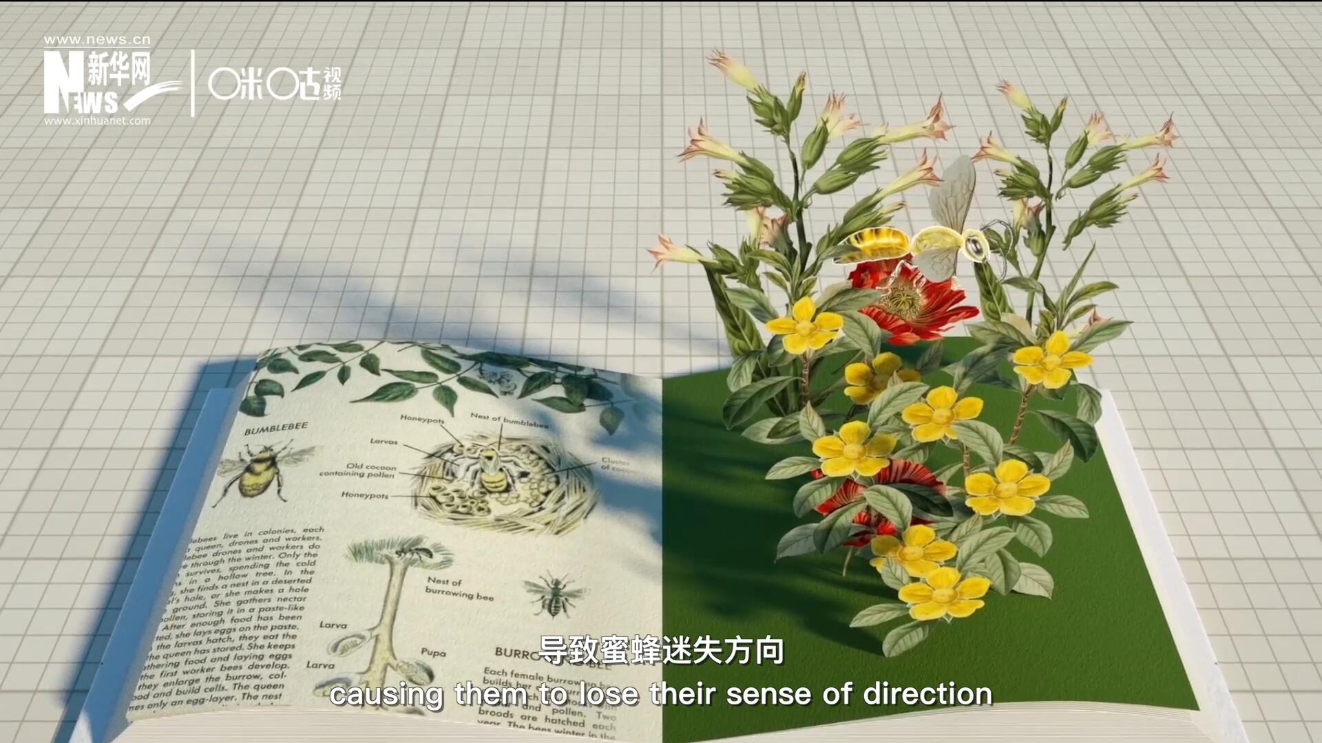 殺蟲(chóng)劑會(huì)破壞蜜蜂的神經(jīng)系統(tǒng)，導(dǎo)致蜜蜂迷失方向，無(wú)法回到蜂房，還會(huì)降低蜜蜂的抵抗力