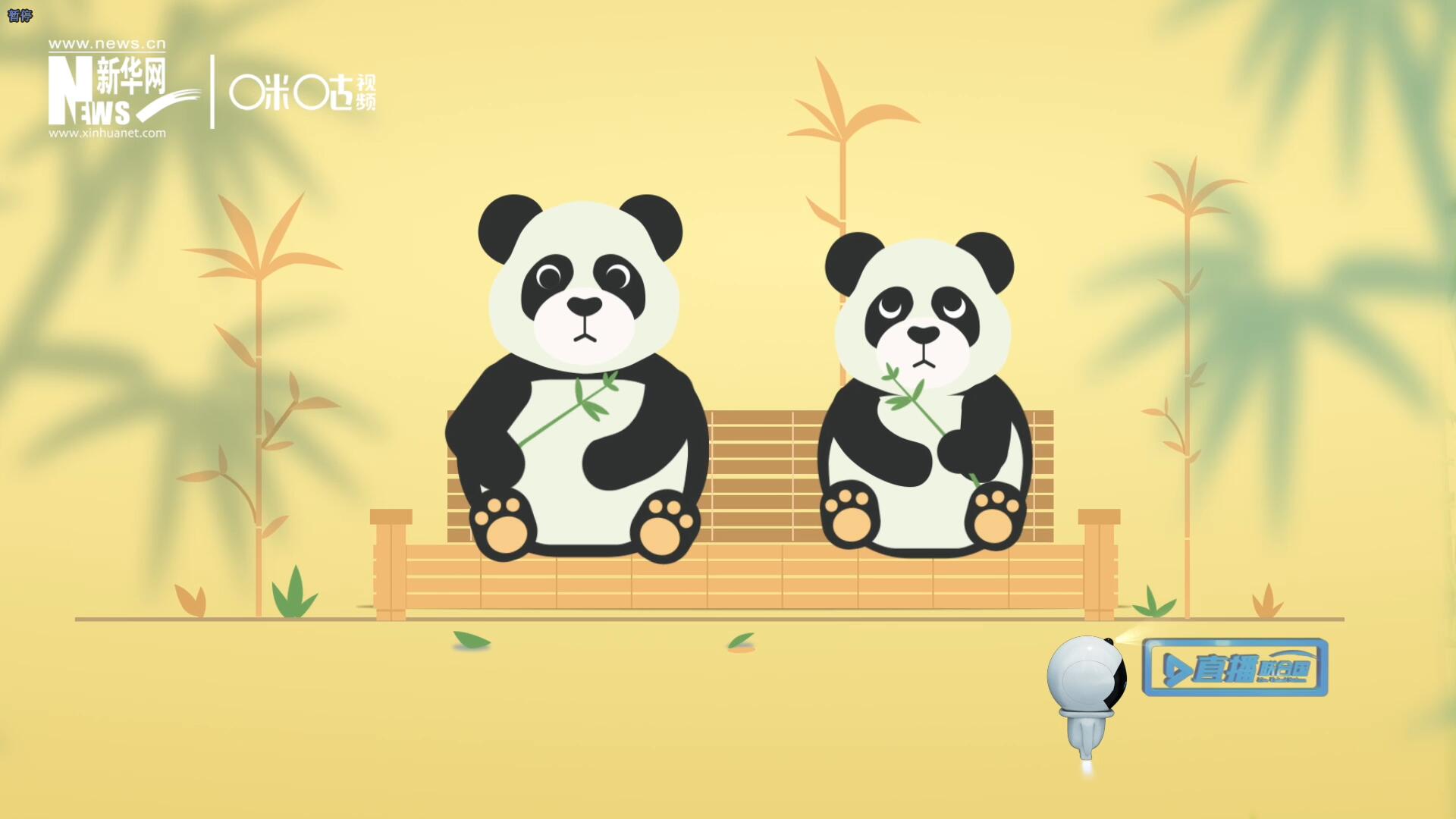 &ldquo;哥哥你看，又有人來看我們了。&rdquo;&ldquo;有什么奇怪的，我們可是聯(lián)合國&lsquo;最萌&rsquo;的大使??！&rdquo;。