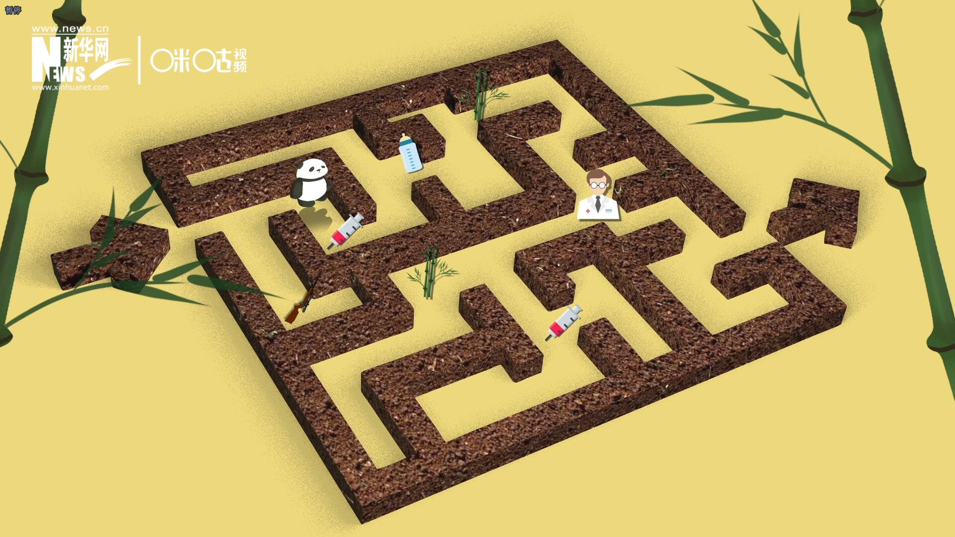 2016年，國際自然保護(hù)聯(lián)盟將大熊貓的物種瀕危等級，從&ldquo;瀕危&rdquo;下降到了&ldquo;易危&rdquo;。