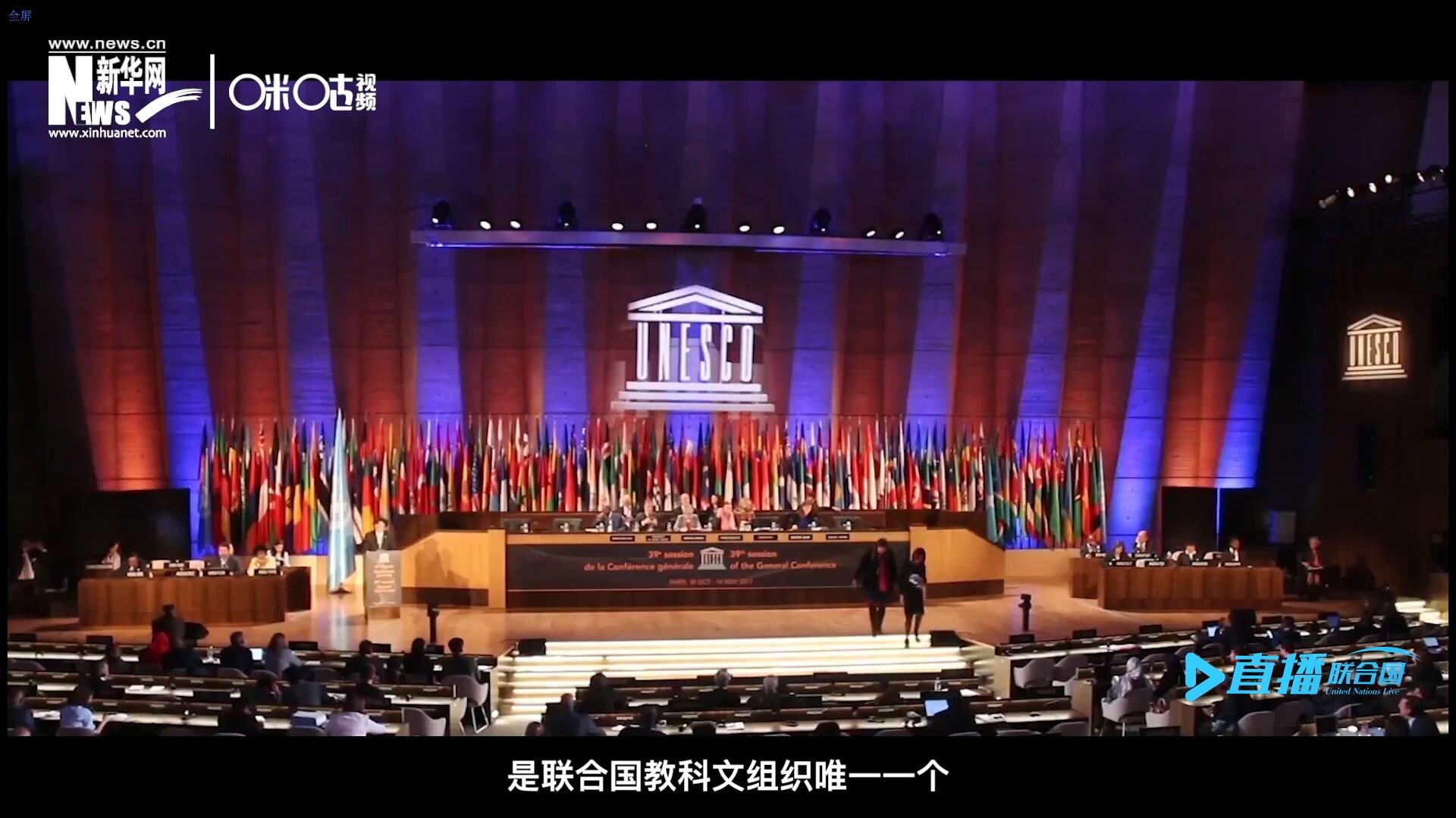 民間藝術(shù)國際組織成立于1979年，是聯(lián)合國教科文組織唯一一個(gè)以保護(hù)和挖掘國際民間藝術(shù)為工作中心的國際機(jī)構(gòu)。