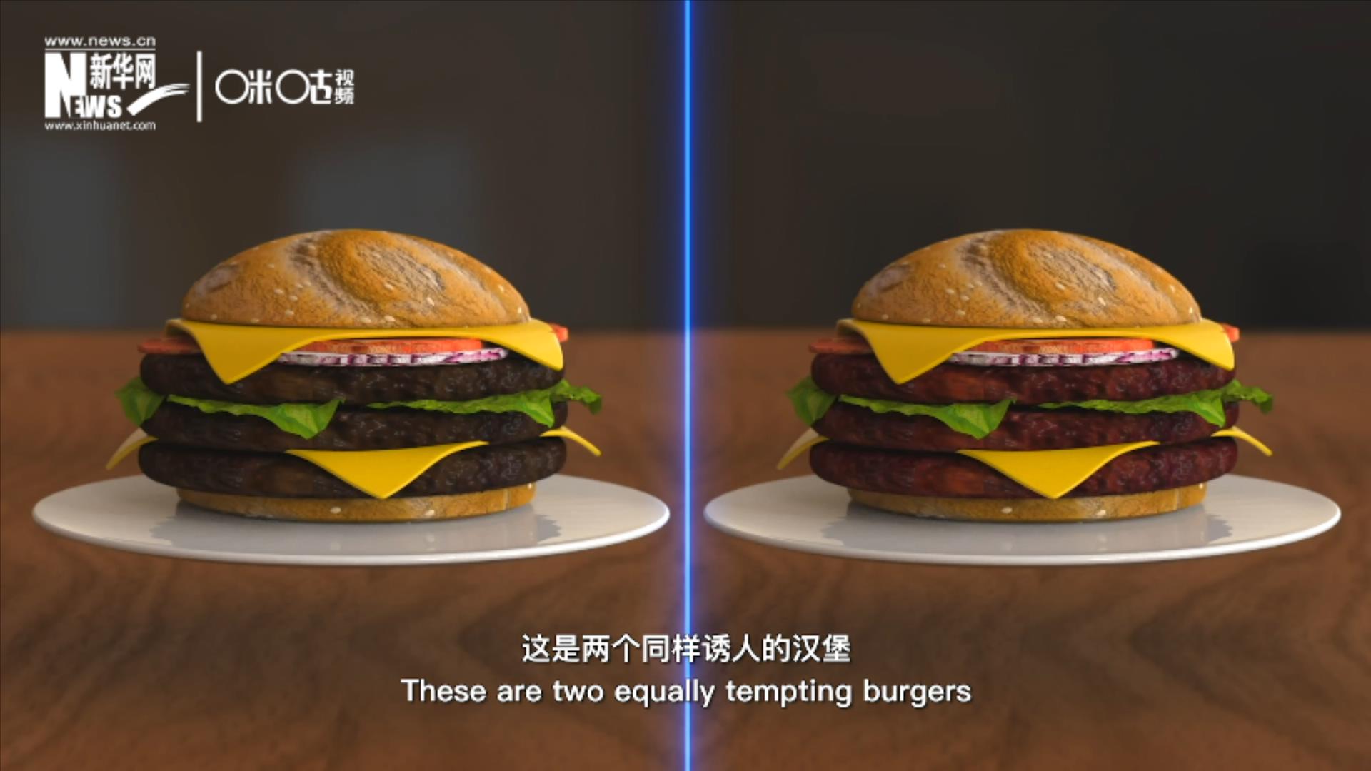 人造肉漢堡能在生產(chǎn)過程中節(jié)約水、土地、排放以及能量