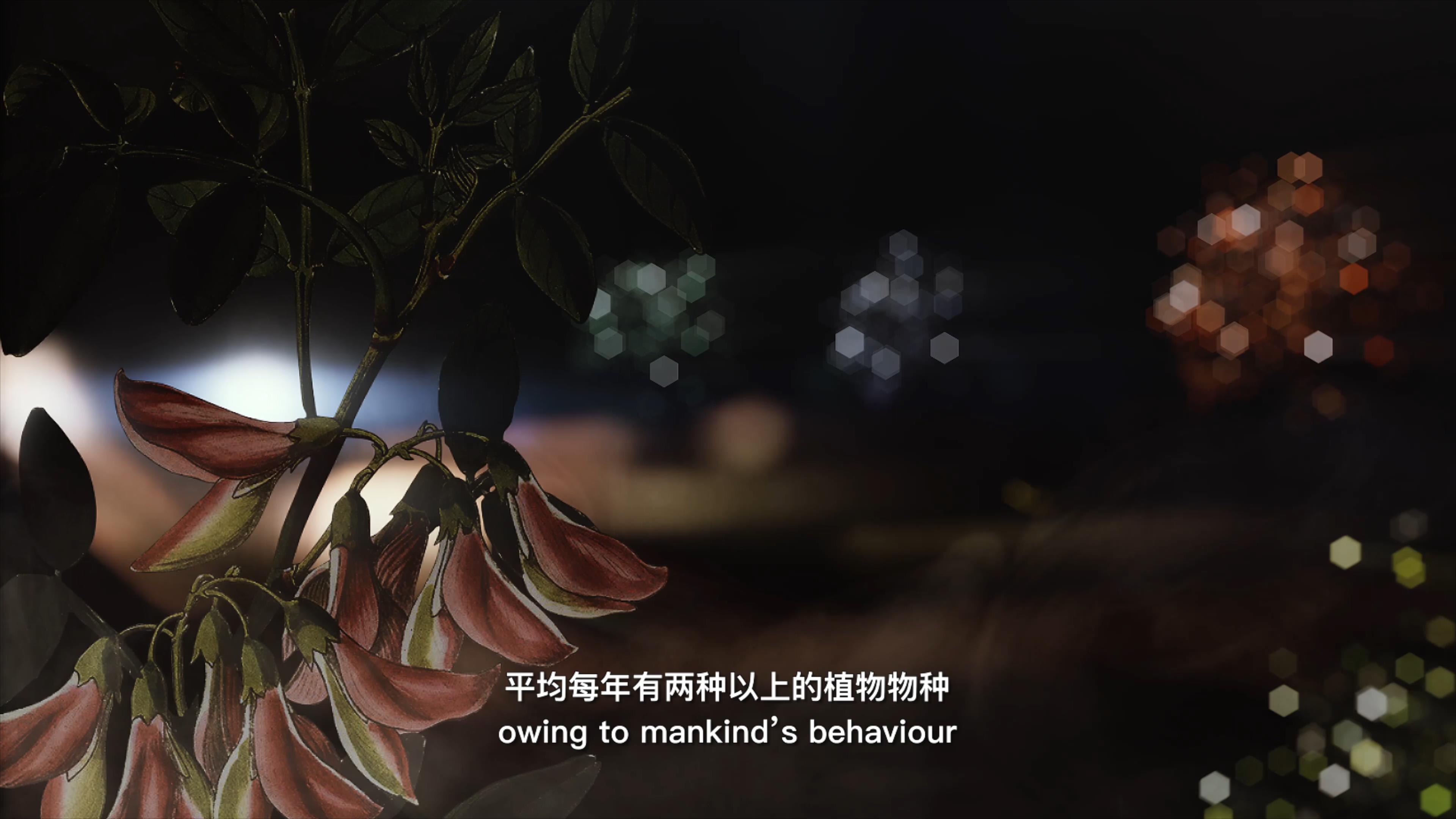 自18世紀(jì)中葉以來，許多植物物種因為人類的原因而從地球上消失