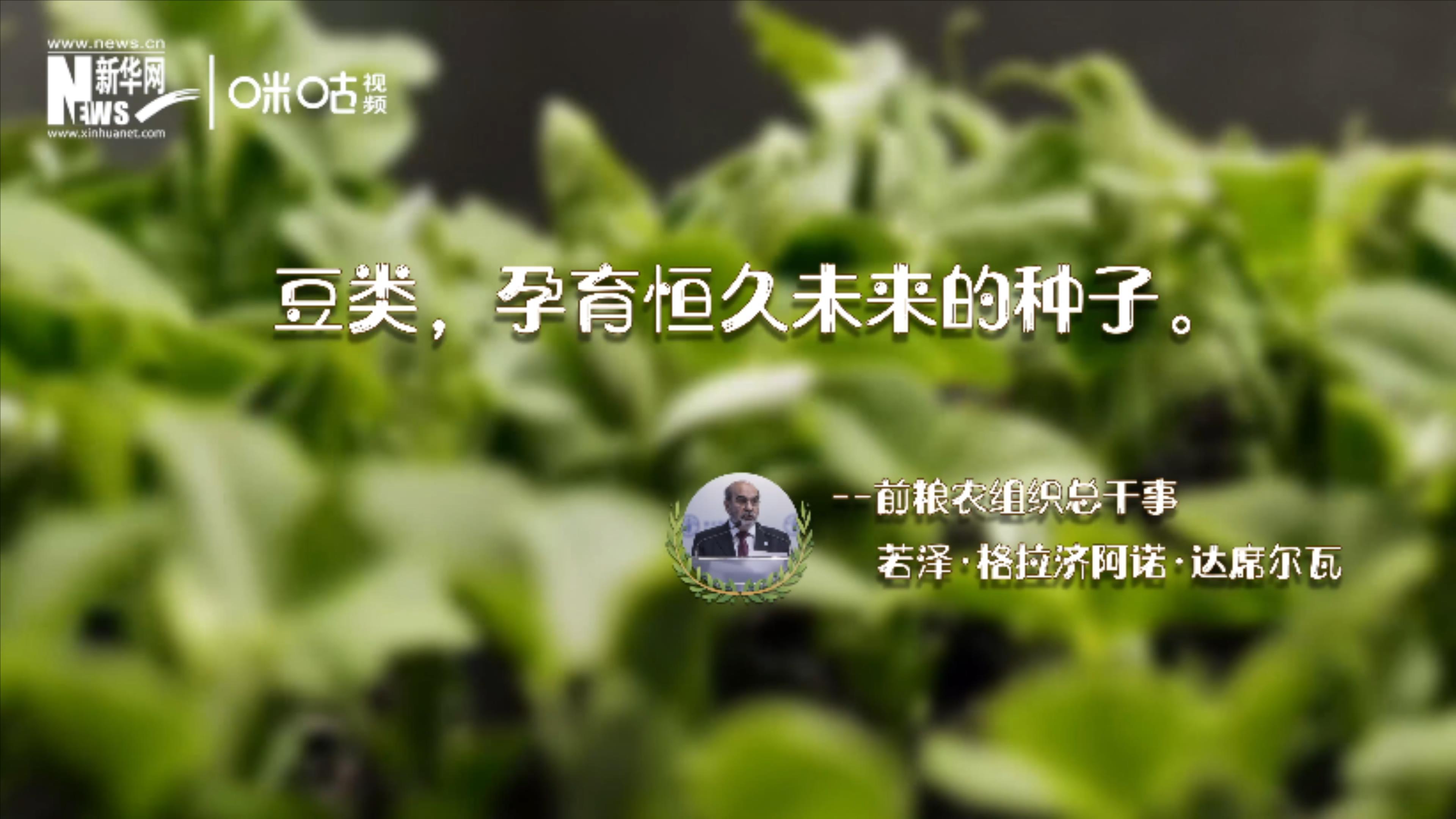 豆類，孕育恒久未來(lái)的種子