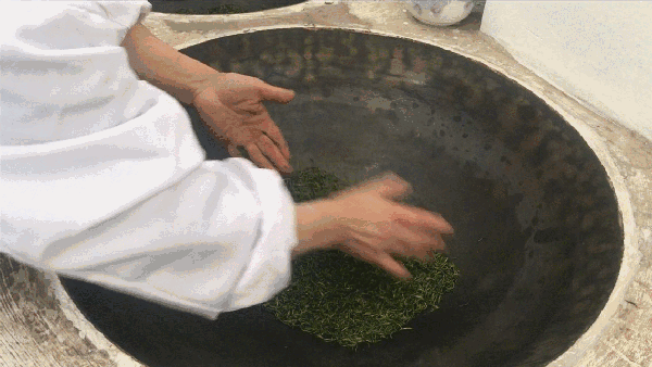 申遺，把雨花茶手藝傳承下去