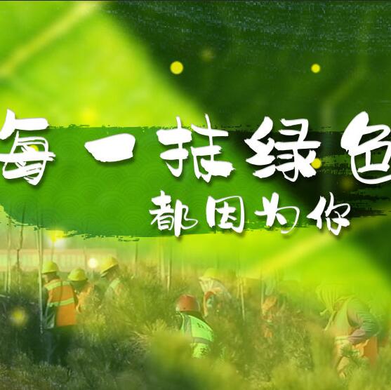 千年秀林，每一抹綠色都因為你