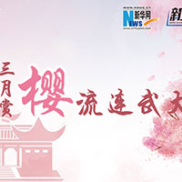 三月賞櫻，流連武大