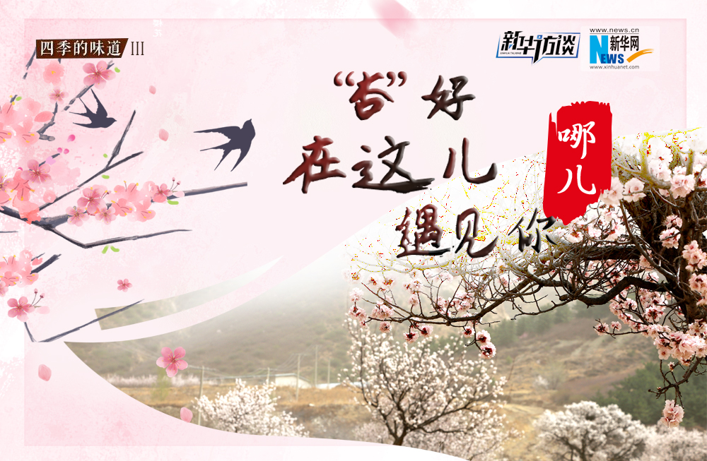 哪兒？&ldquo;杏&rdquo;好在這兒遇見你！