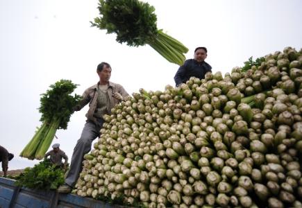 劉永富：發(fā)展產(chǎn)業(yè)脫貧仍是精準(zhǔn)扶貧、精準(zhǔn)脫貧主攻方向