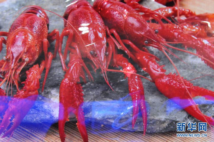 螺螄殼里做道場，小龍蝦吃出大產(chǎn)業(yè)