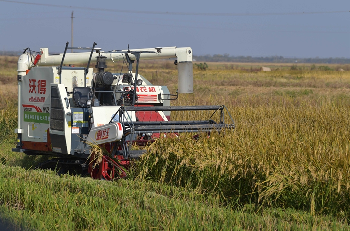 新華社評(píng)論員:穩(wěn)固耕地基本盤(pán)，打好種業(yè)翻身仗