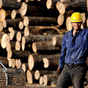 林業(yè)&ldquo;國(guó)字號(hào)&rdquo;改革