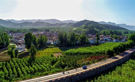 兩岸智庫(kù)專家：大陸鄉(xiāng)村振興將為兩岸融合帶來新機(jī)遇